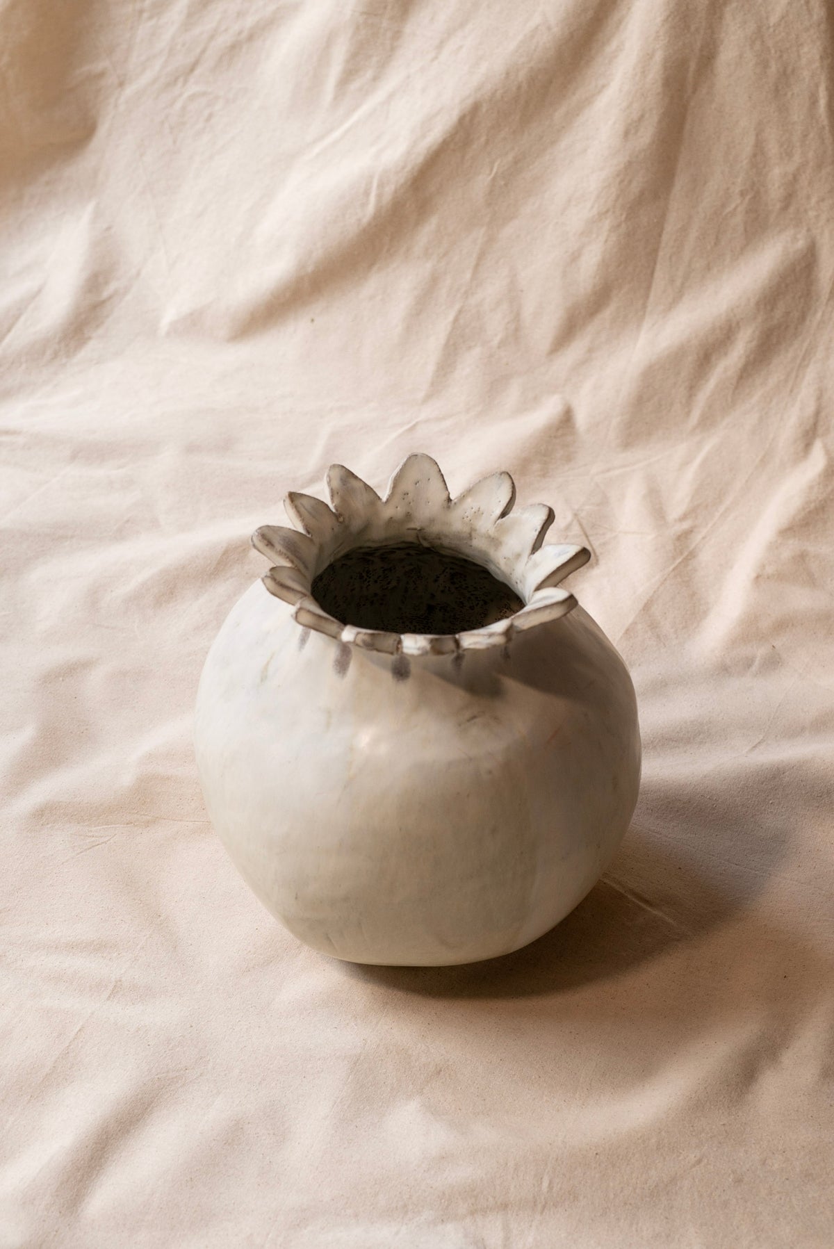 semilla II