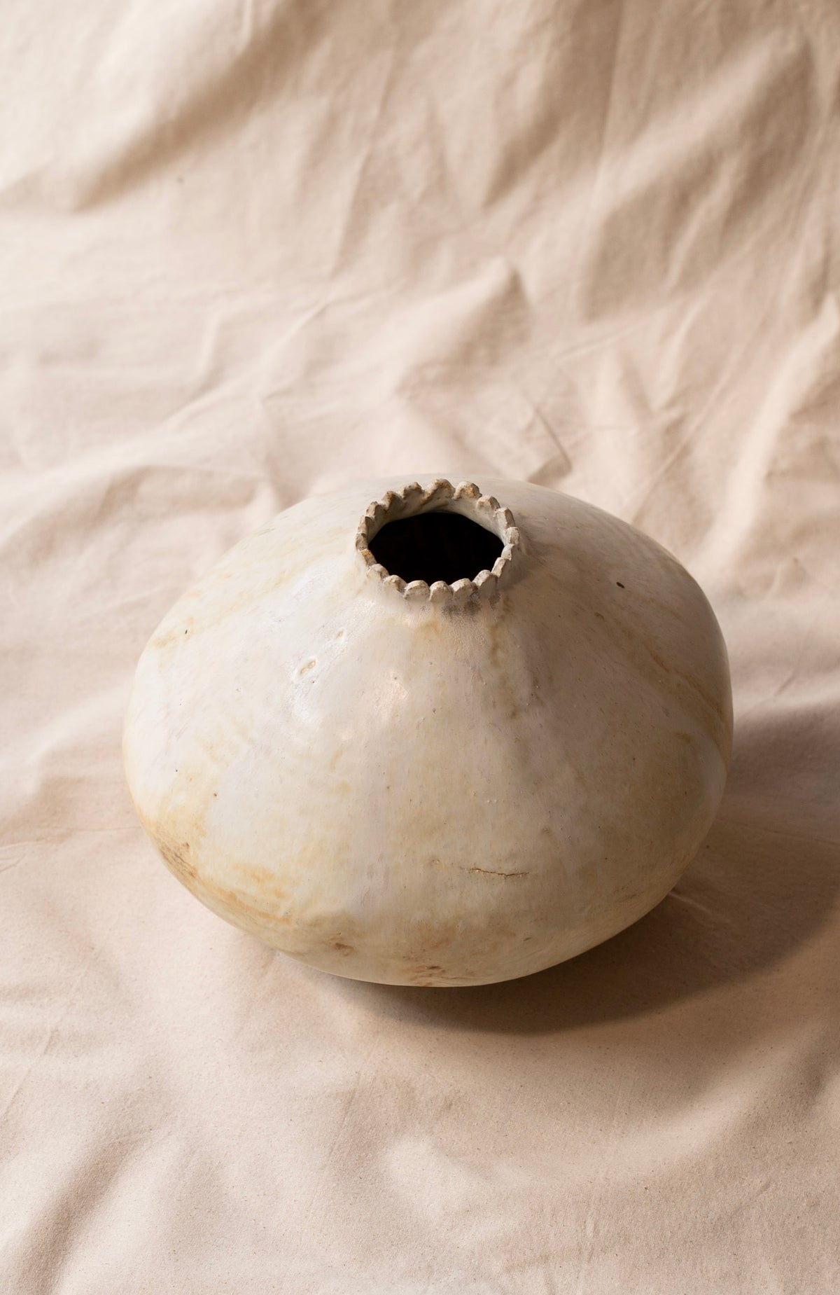 semilla IV