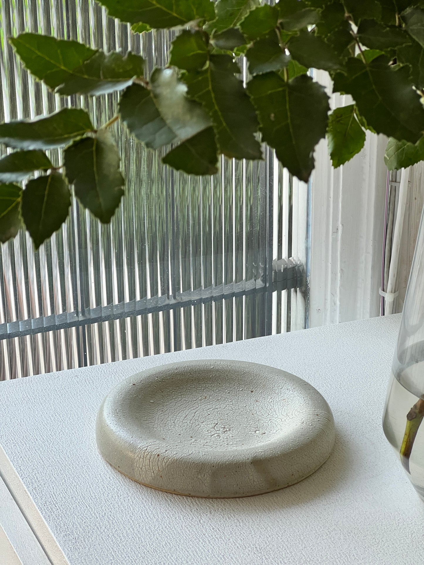 platos torus m