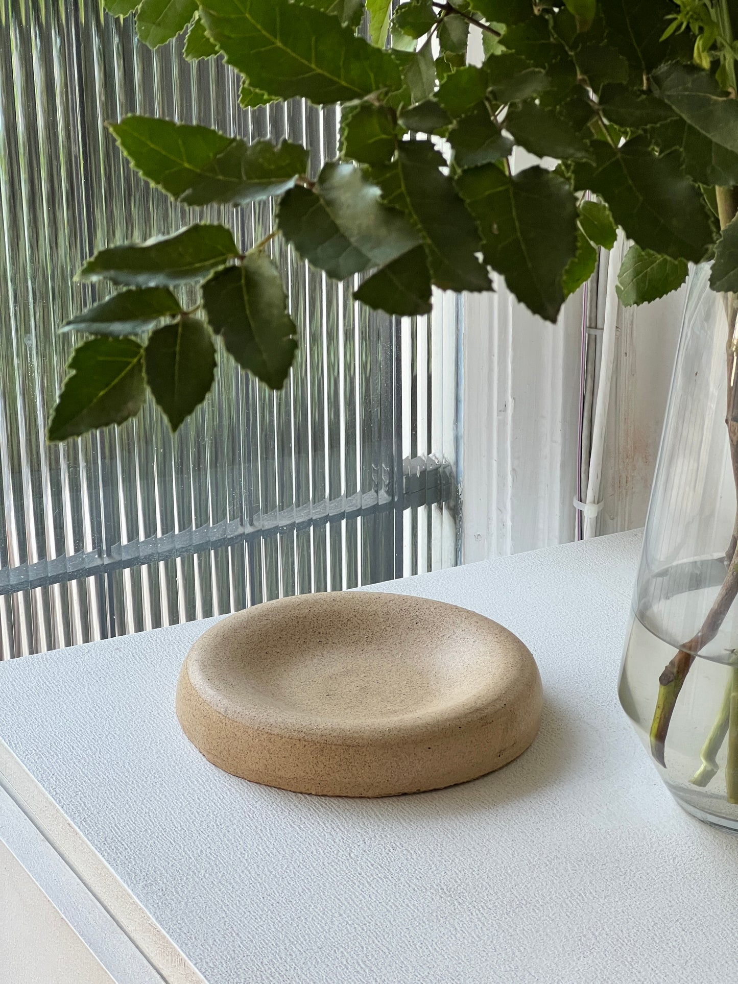 platos torus m