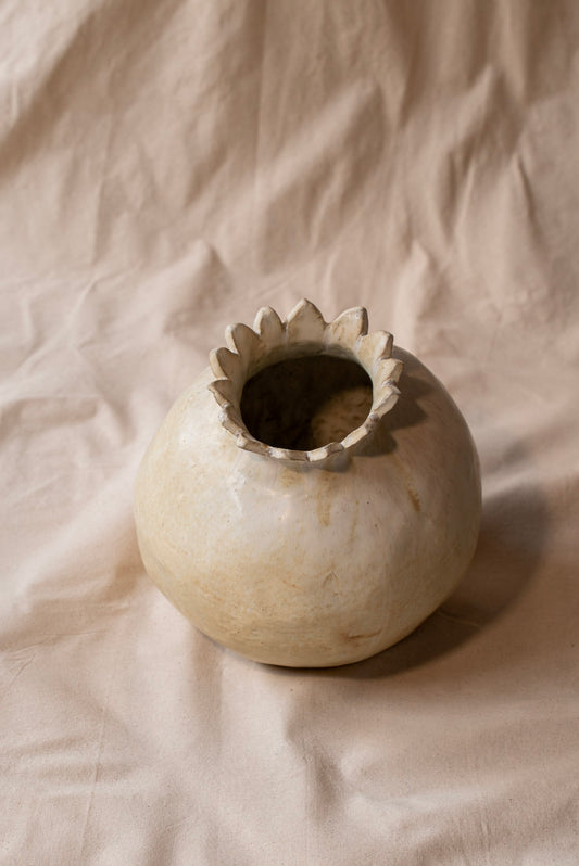 semilla I