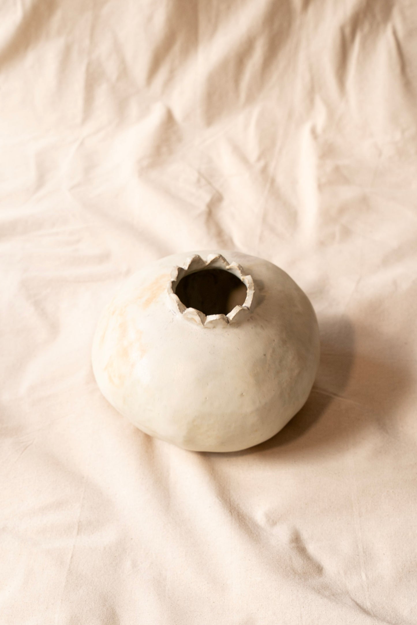 semilla III