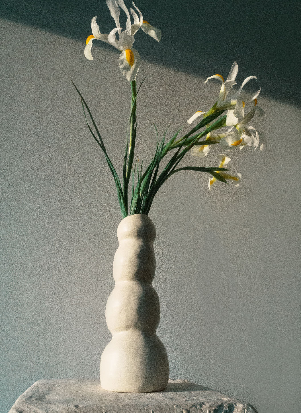 Florero Círculos