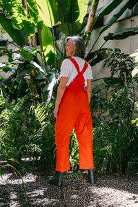 jardinera